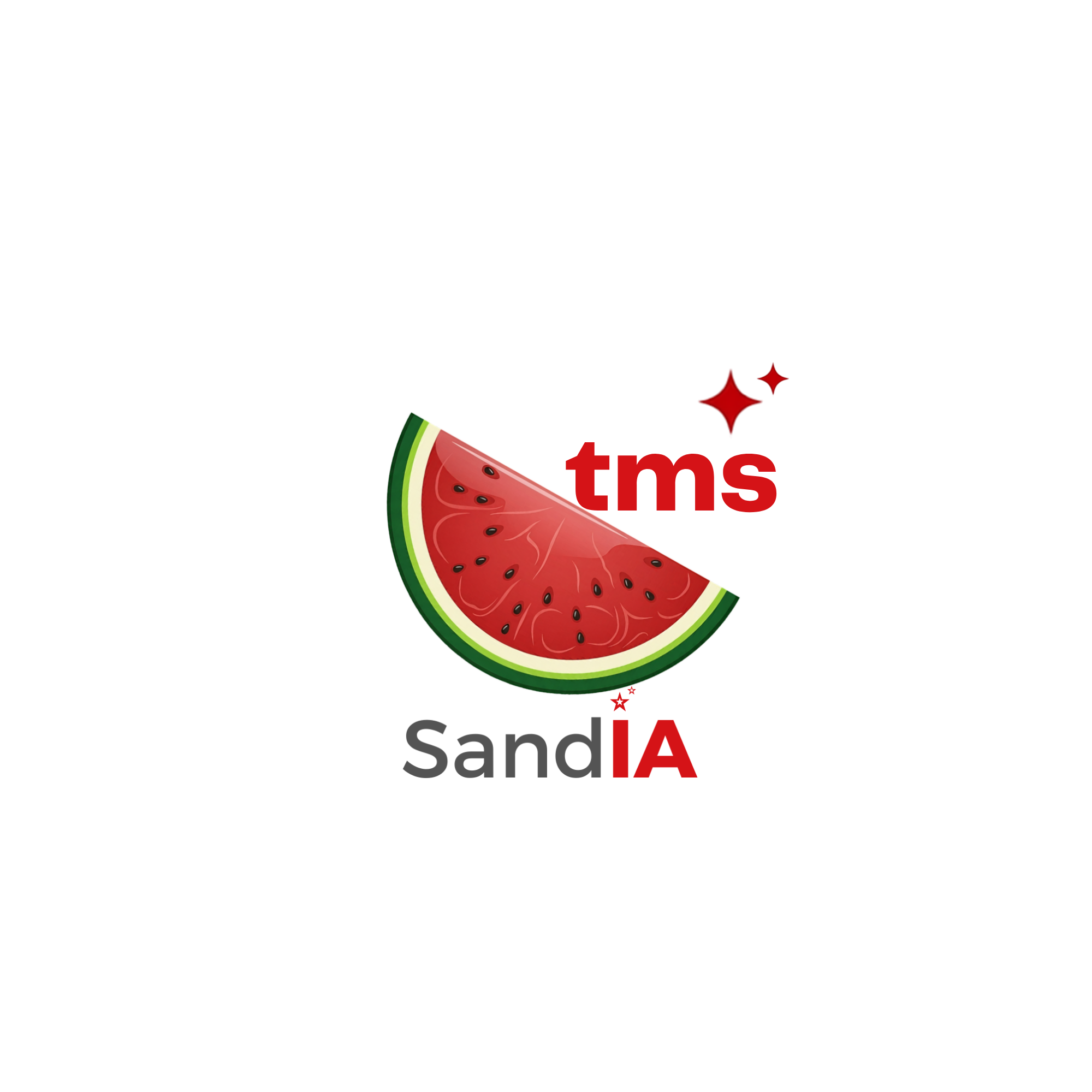SandIA TMS